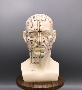 مولاژ طب سوزنی سر مولاژ طب سوزنی سر